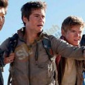 Maze Runner The Scorch Trials Dylan O Brien Jacket